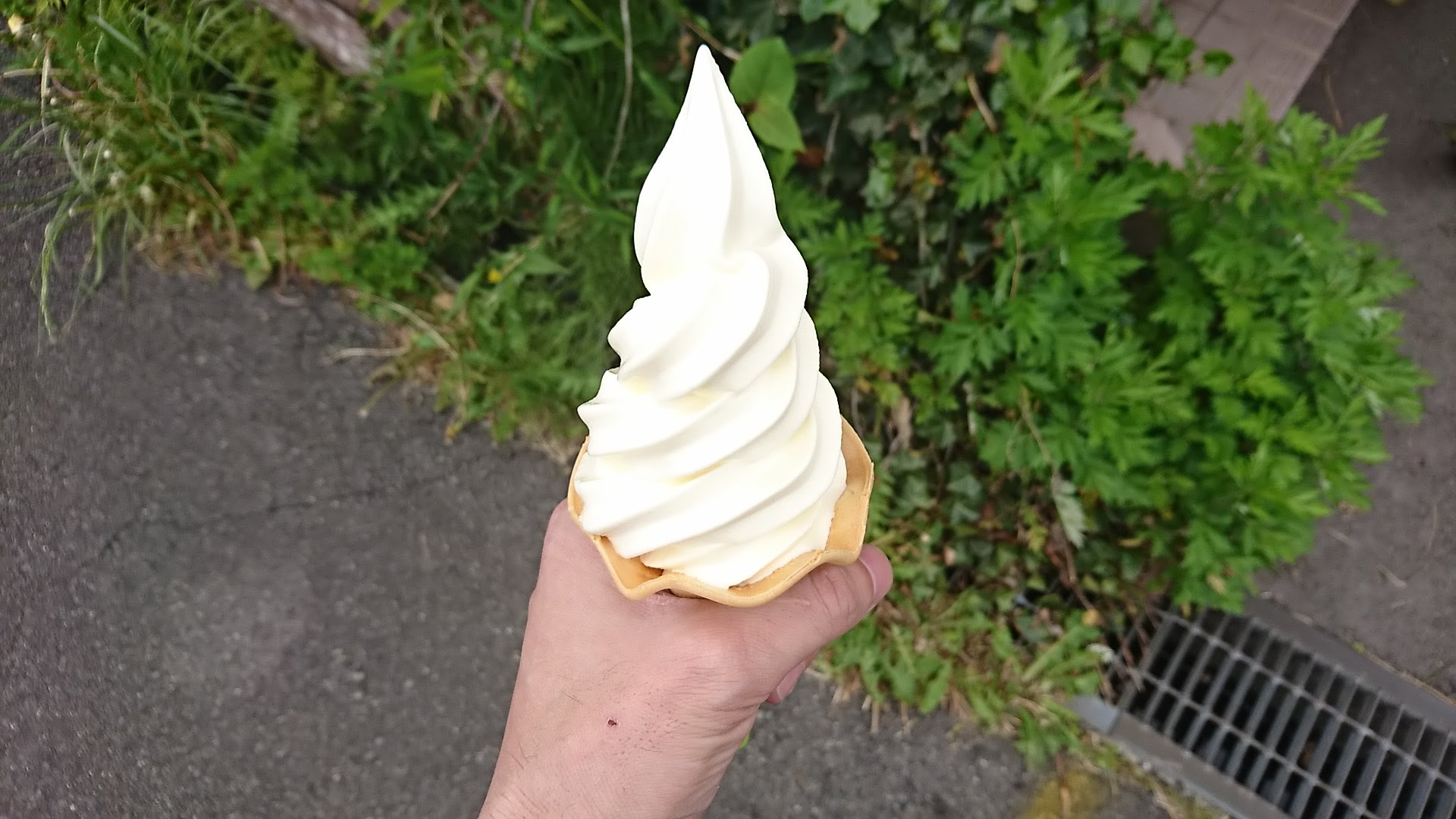 ゴールデンミルク から作られたソフトクリーム